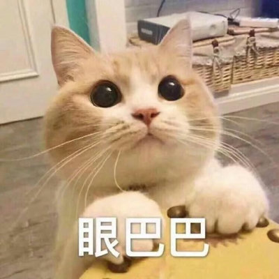 woshinibaba
