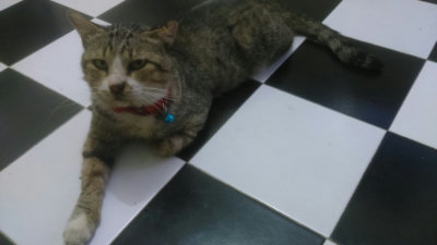 王荣顺